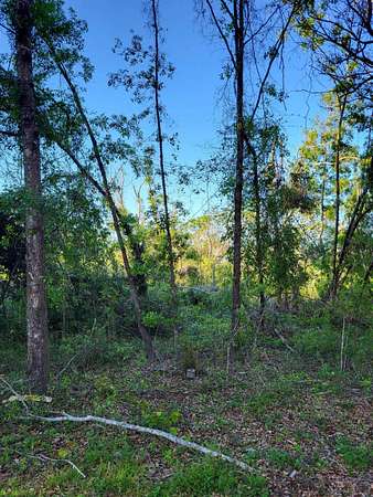 3.23 Acres of Residential Land for Sale in Perry, Florida