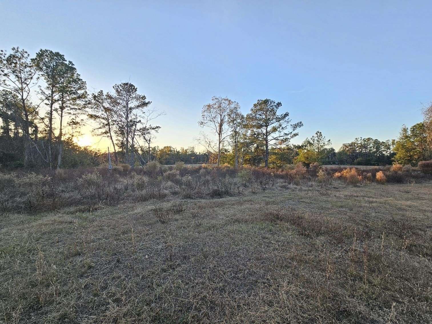 0.48 Acres of Land for Sale in Madison, Florida