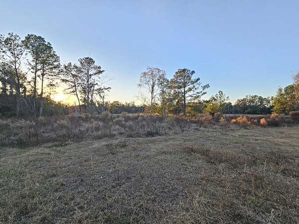 0.48 Acres of Land for Sale in Madison, Florida
