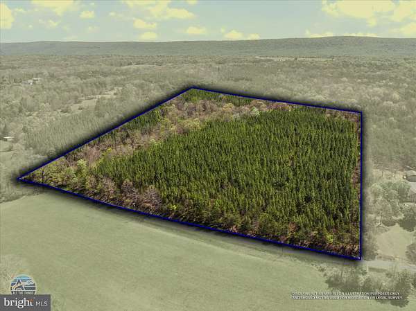 41.2 Acres of Land for Sale in Berkeley Springs, West Virginia