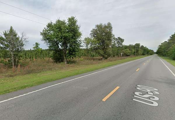 20 Acres of Land for Sale in Lee, Florida