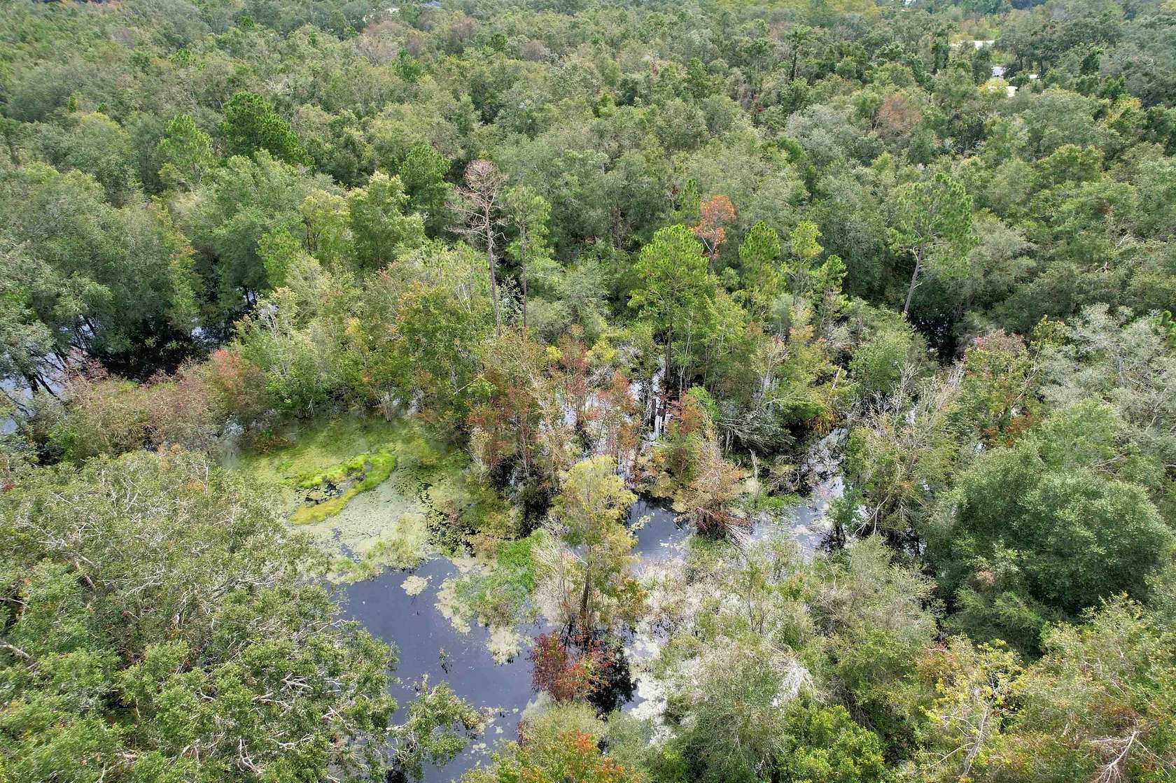 1 Acre of Land for Sale in Mayo, Florida