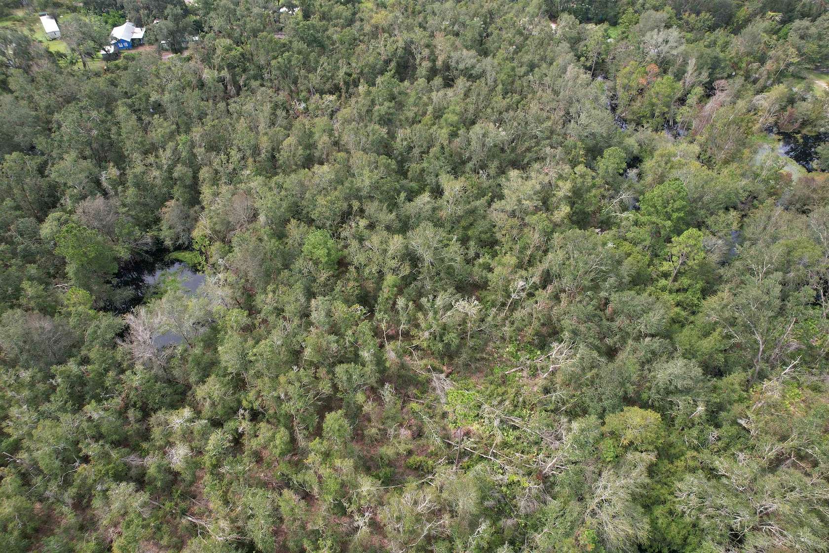 1 Acre of Land for Sale in Mayo, Florida