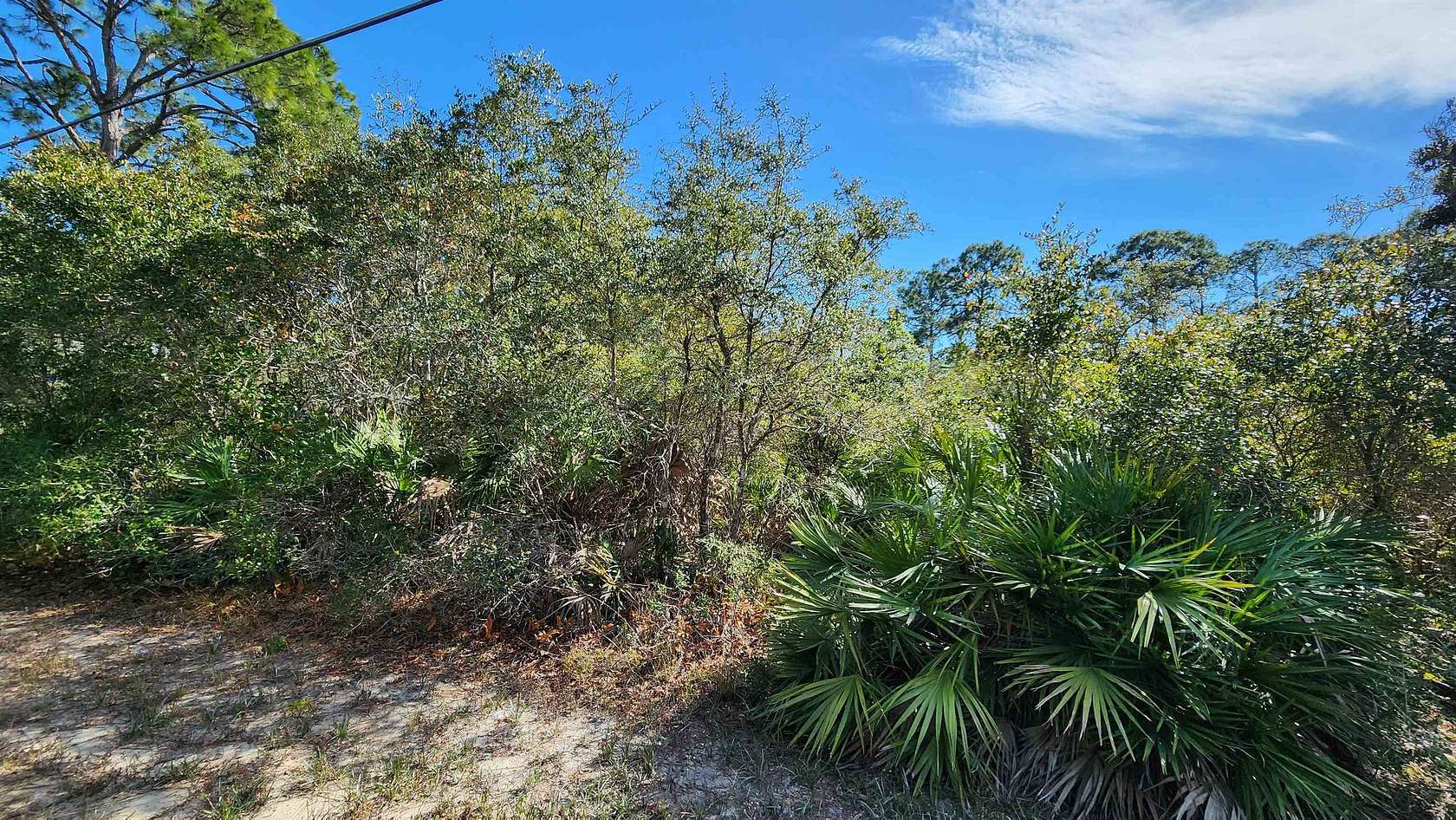 0.5 Acres of Land for Sale in Panacea, Florida