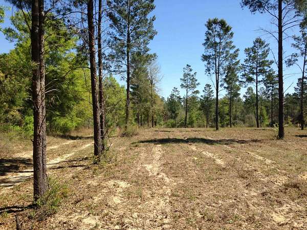 30 Acres of Land for Sale in Lee, Florida