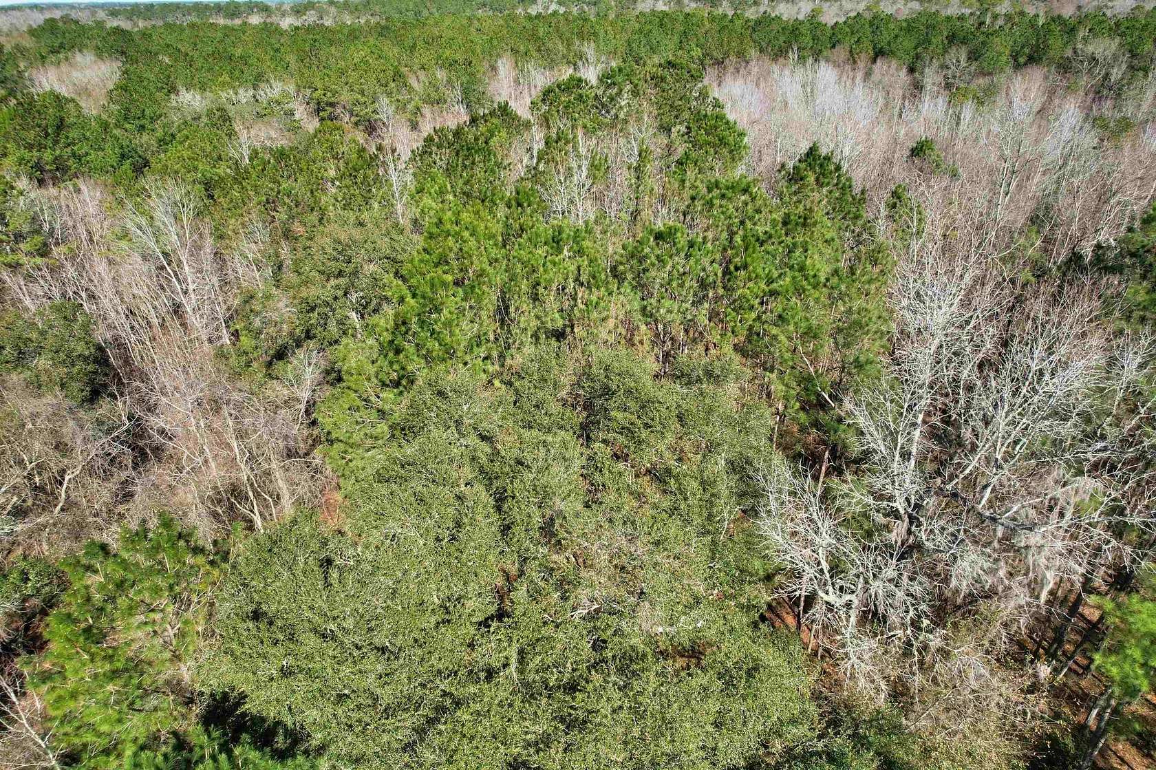 46.3 Acres of Recreational & Residential Land for Sale in Greenville, Florida