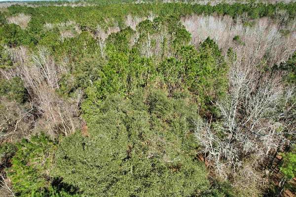 46.3 Acres of Recreational & Residential Land for Sale in Greenville, Florida