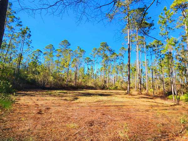 40.5 Acres of Land for Sale in Greenville, Florida