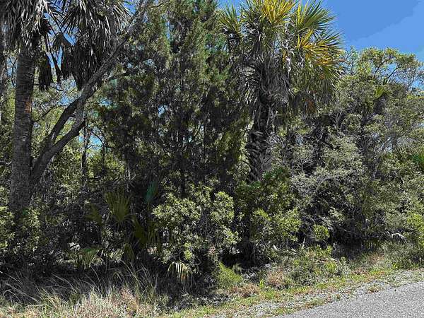 0.19 Acres of Residential Land for Sale in Crawfordville, Florida