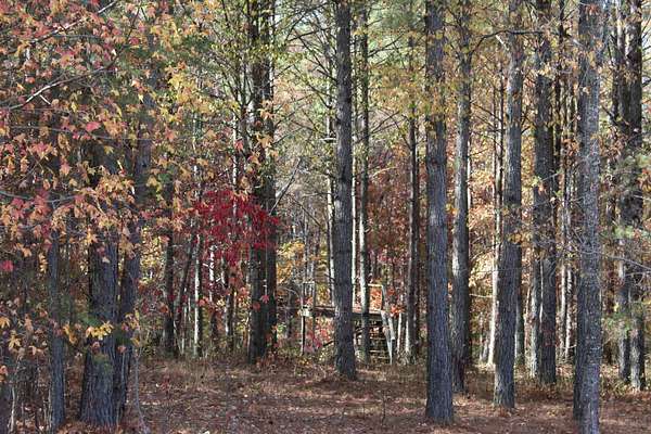 1.14 Acres of Residential Land for Sale in Jasper, Tennessee