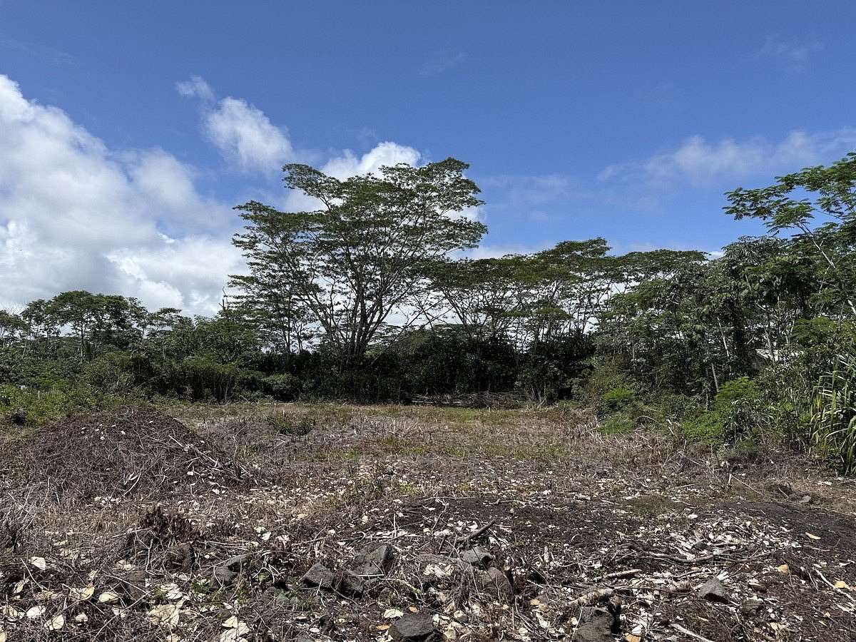 1 Acre of Land for Sale in Keaau, Hawaii