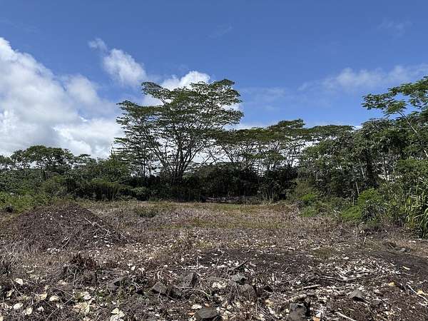 1 Acre of Land for Sale in Keaau, Hawaii