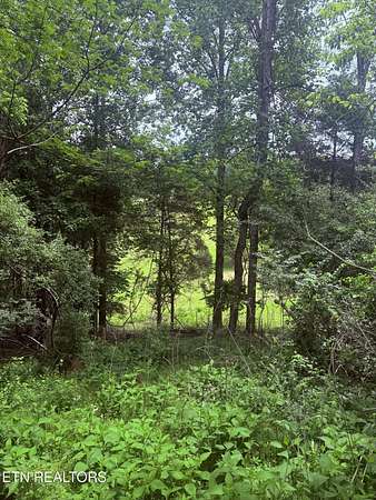 1.42 Acres of Residential Land for Sale in Jacksboro, Tennessee