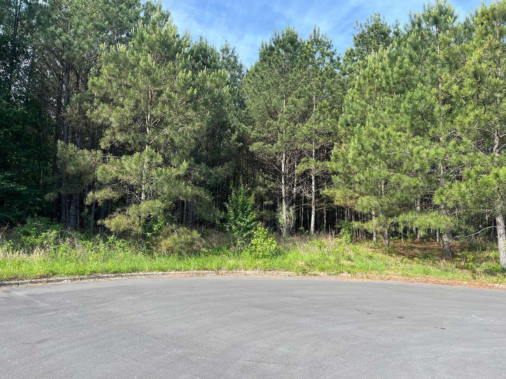 1 Acre of Land for Sale in Jasper, Alabama