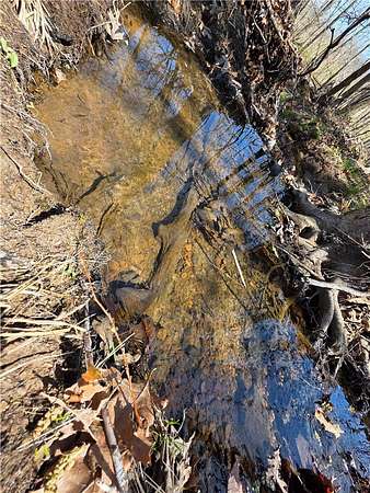 350 Acres of Recreational Land for Sale in Compton, Arkansas