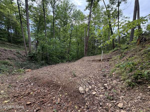 0.89 Acres of Residential Land for Sale in Gatlinburg, Tennessee