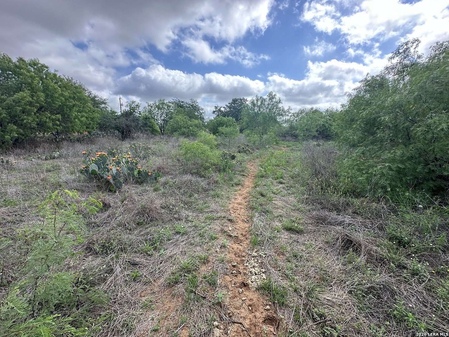 4.8 Acres of Land for Sale in Atascosa, Texas