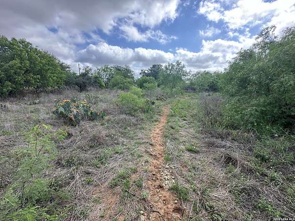 4.8 Acres of Land for Sale in Atascosa, Texas