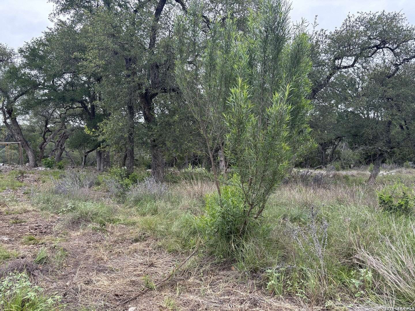 1.44 Acres of Residential Land for Sale in New Braunfels, Texas
