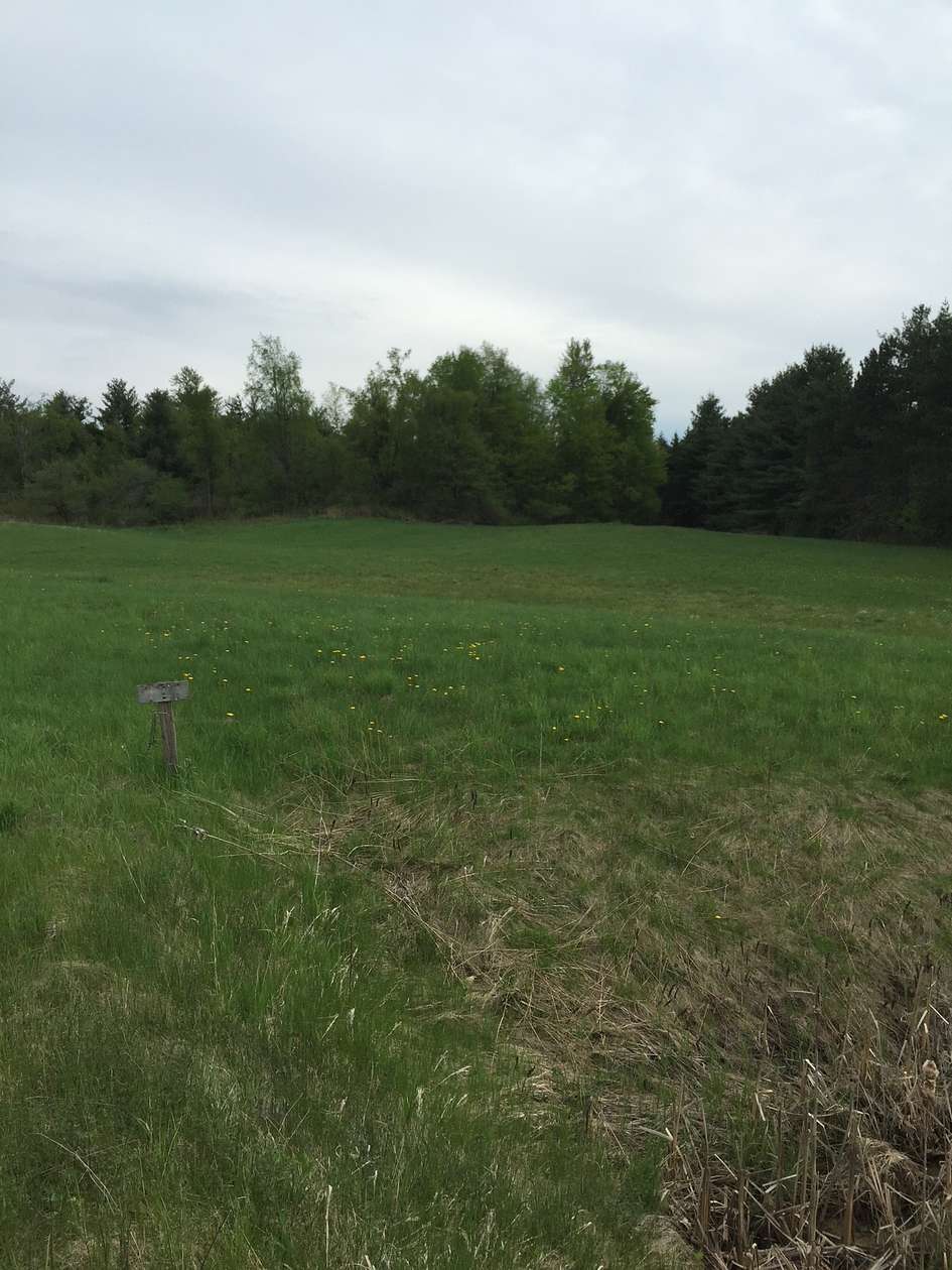 71 Acres of Recreational Land for Sale in Edwards, Florida