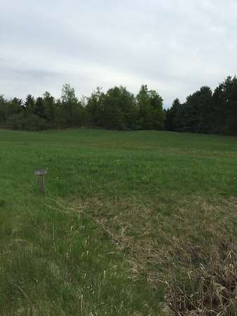 71 Acres of Recreational Land for Sale in Edwards, Florida
