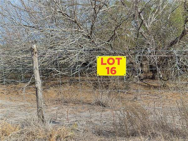 2.52 Acres of Residential Land for Sale in Kingsville, Texas