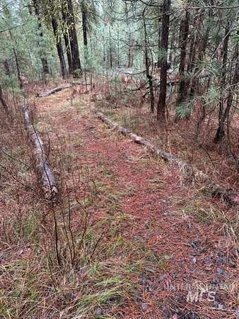 2.56 Acres of Residential Land for Sale in Cascade, Idaho