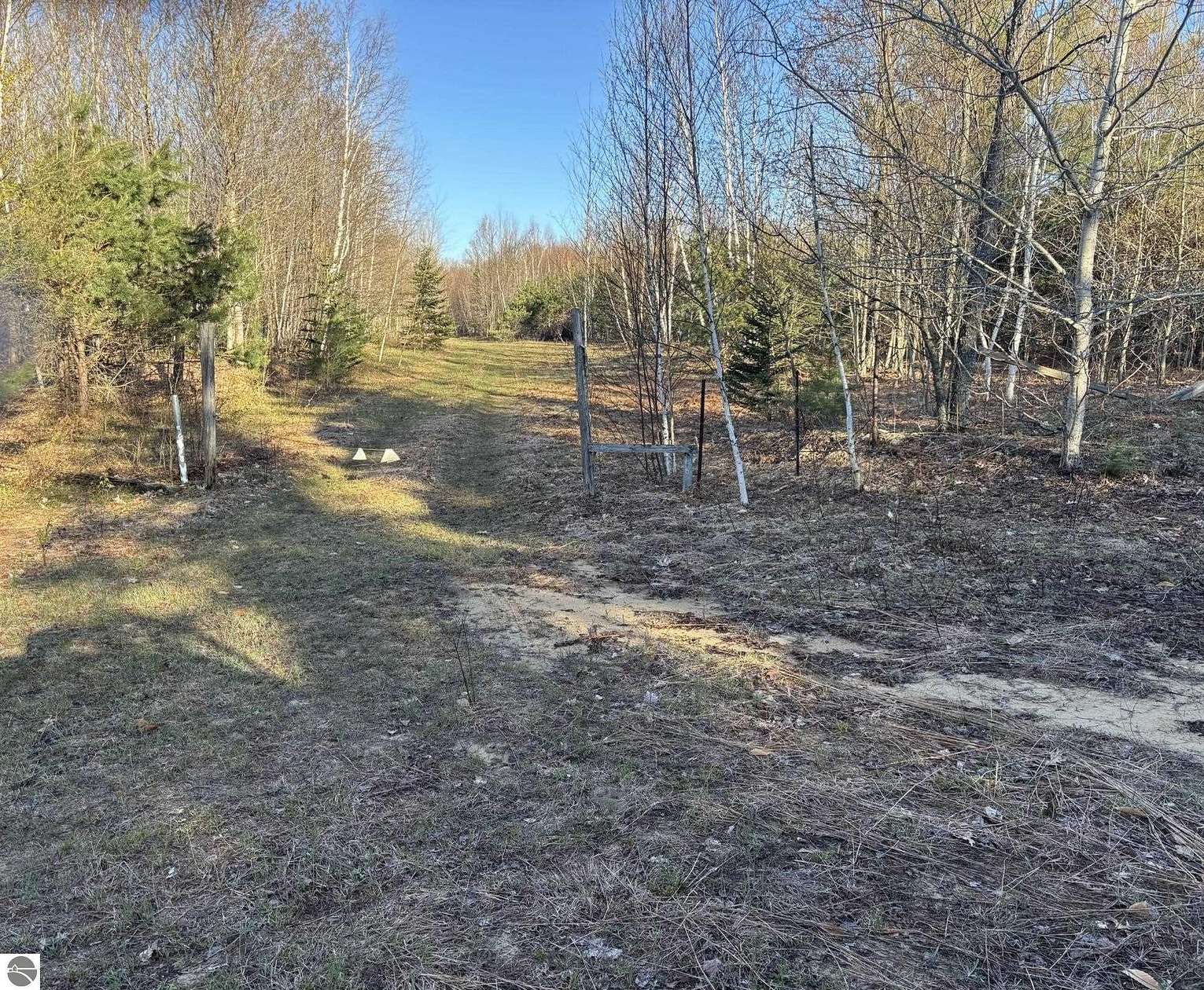 80 Acres of Land for Sale in Lake City, Michigan