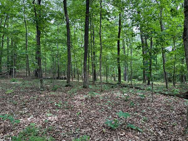 8.85 Acres of Land for Sale in Smithville, Arkansas
