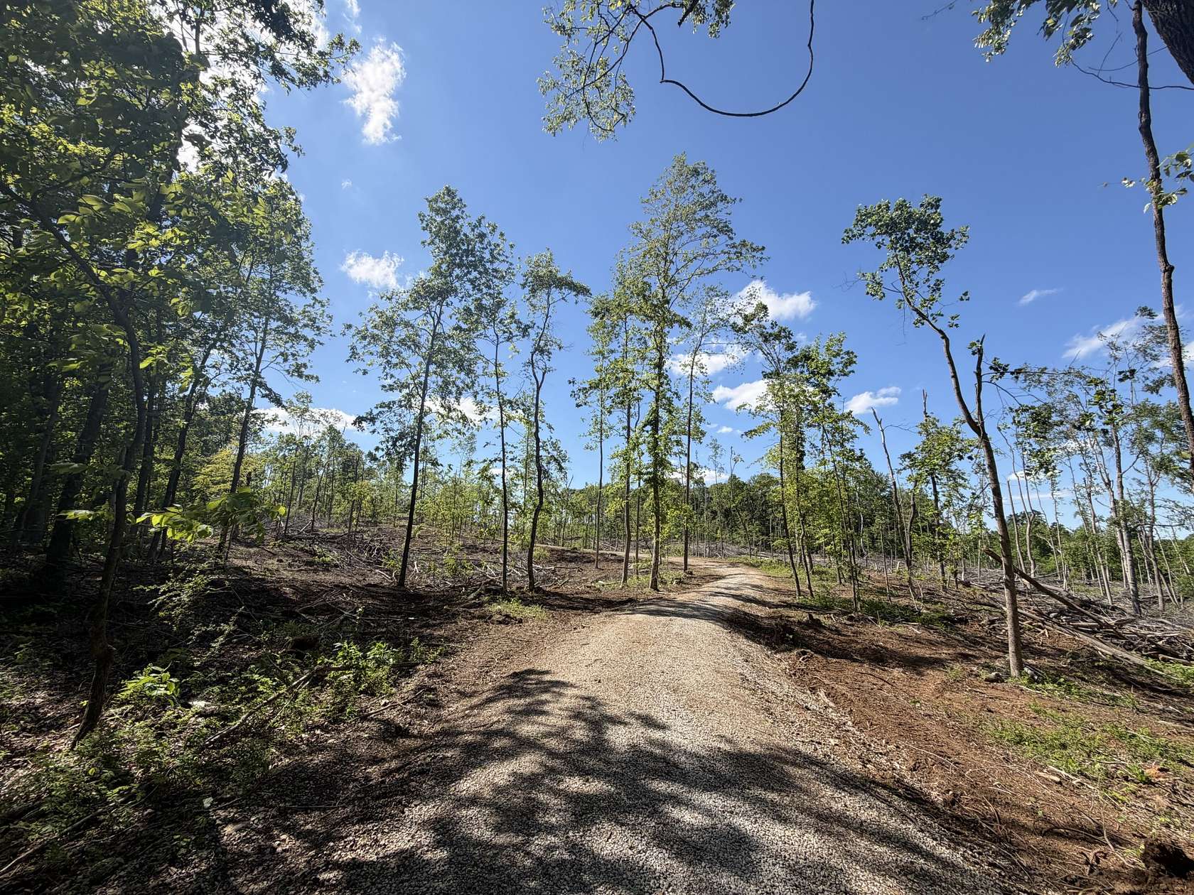 32.7 Acres of Land for Sale in Springfield, Tennessee