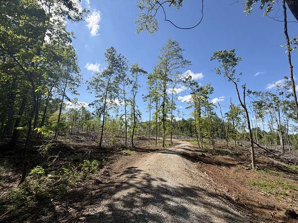 32.7 Acres of Land for Sale in Springfield, Tennessee