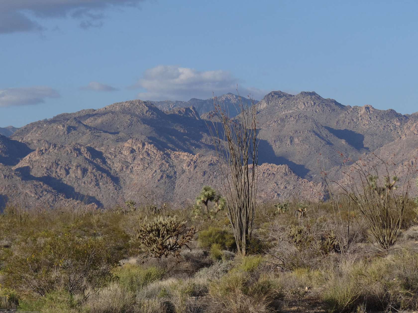 1 Acre of Residential Land for Sale in Yucca, Arizona