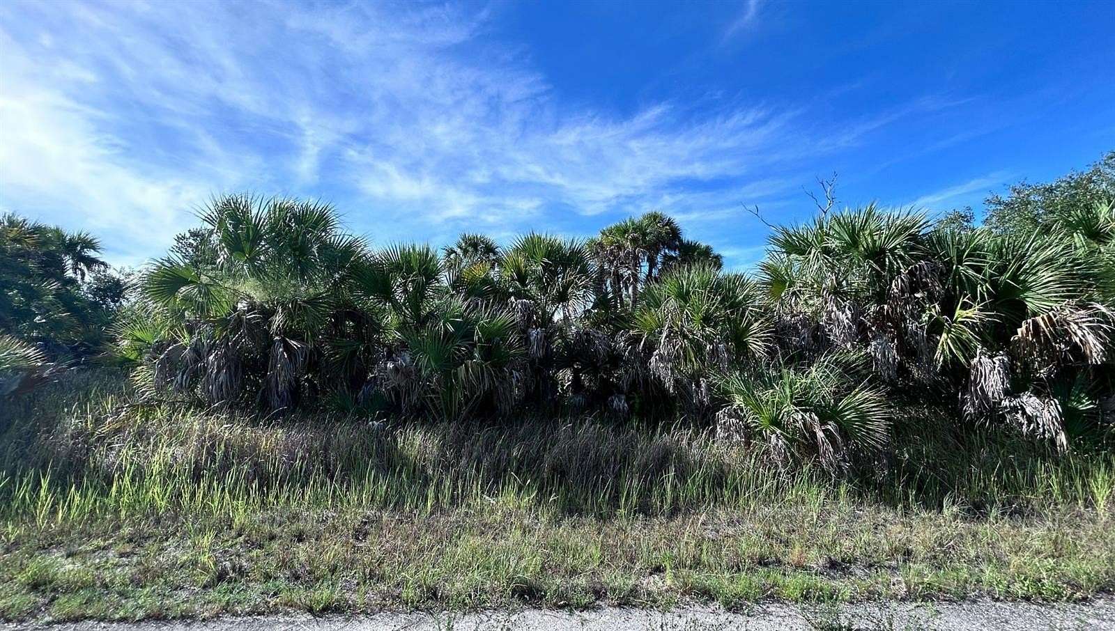 0.23 Acres of Residential Land for Sale in North Port, Florida
