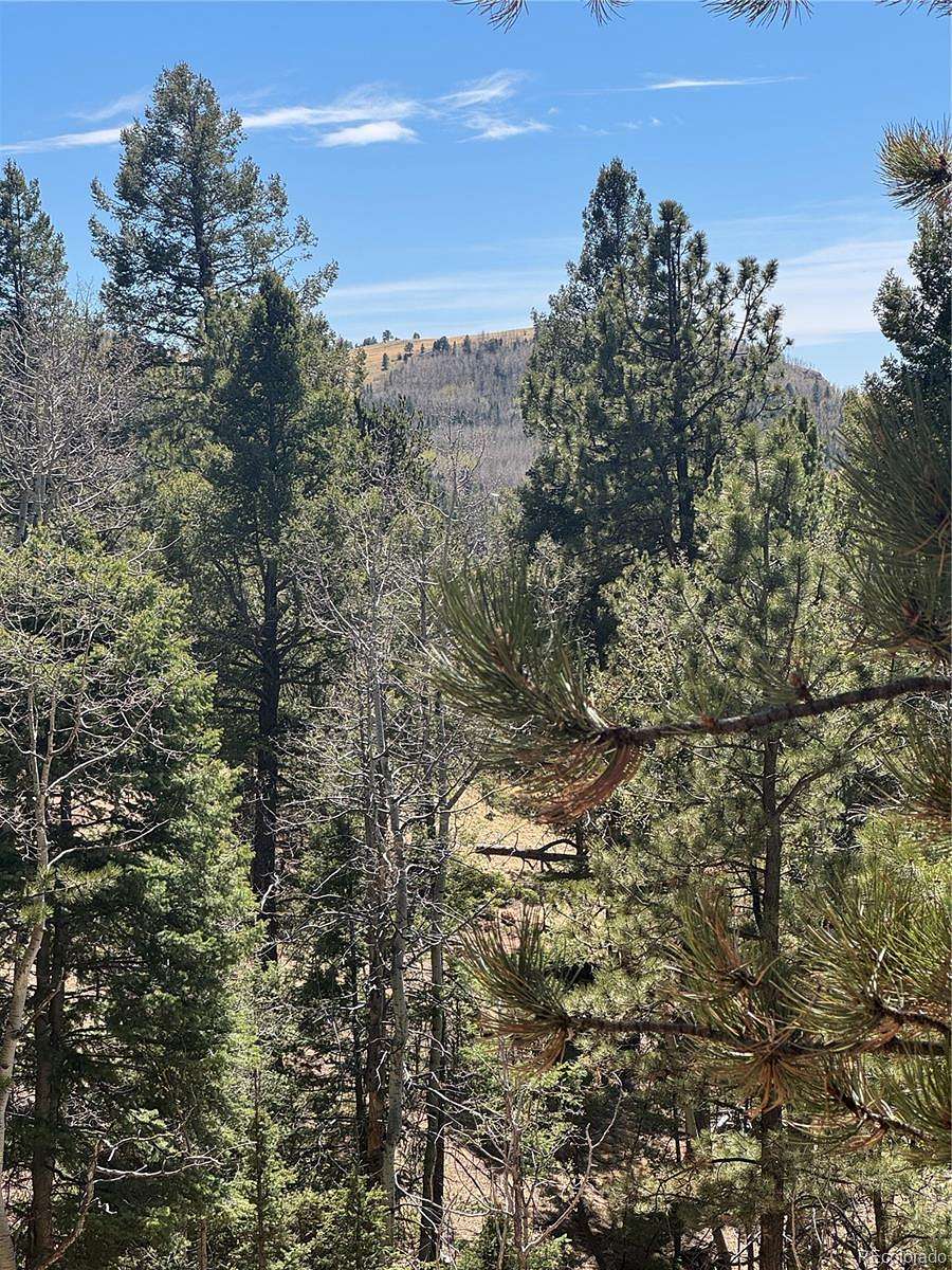1.37 Acres of Residential Land for Sale in Cripple Creek, Colorado