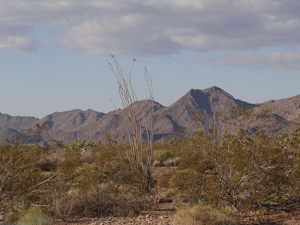 1.38 Acres of Residential Land for Sale in Yucca, Arizona