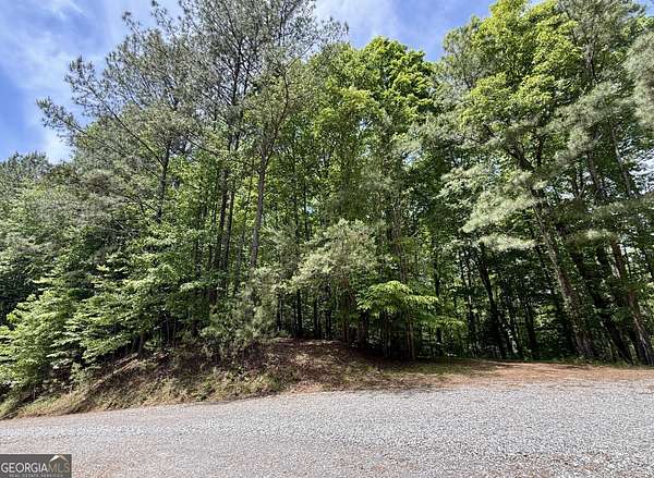 1.2 Acres of Residential Land for Sale in Ellijay, Georgia