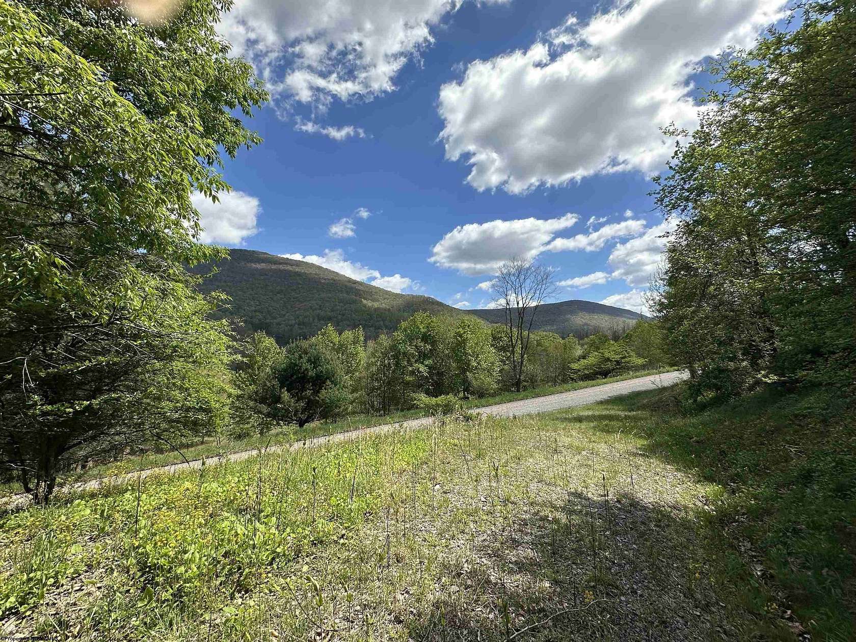 5 Acres of Residential Land for Sale in Dryfork, West Virginia
