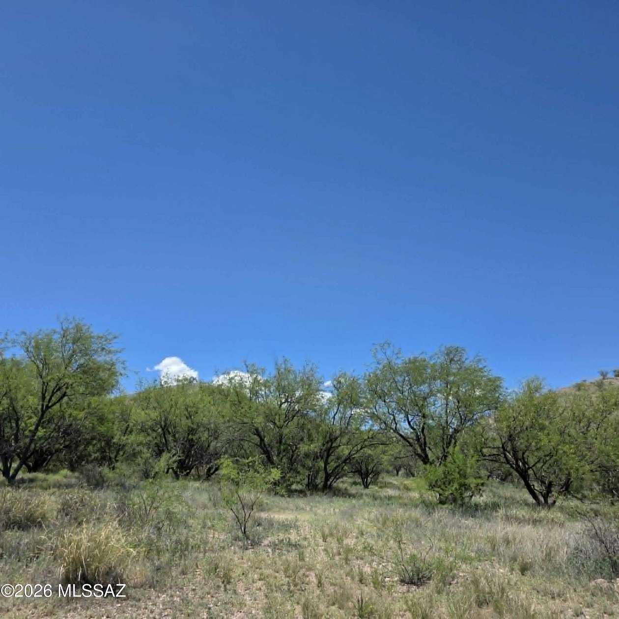 43.3 Acres of Recreational & Residential Land for Sale in Patagonia, Arizona