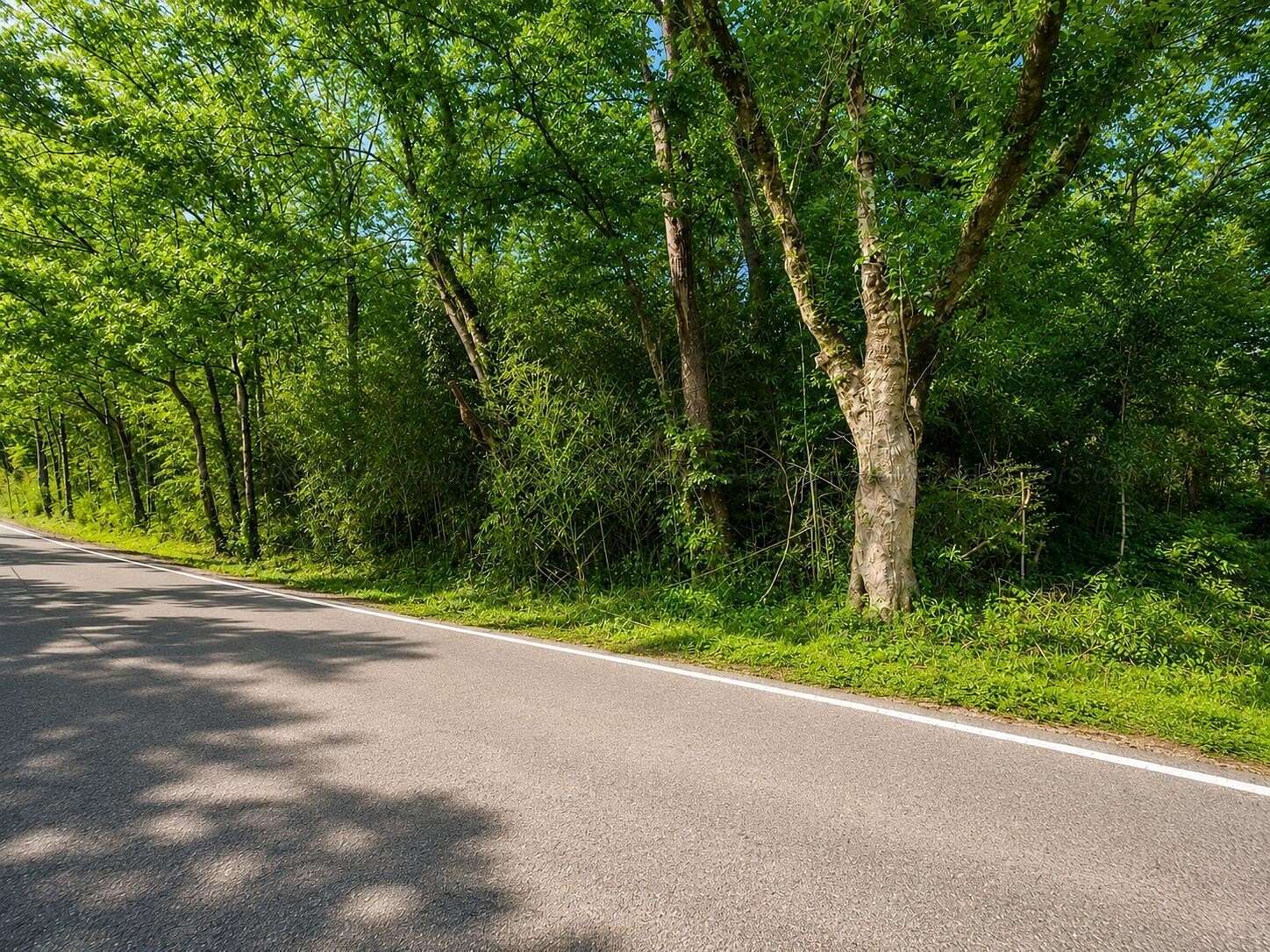 0.36 Acres of Land for Sale in Jasper, Alabama