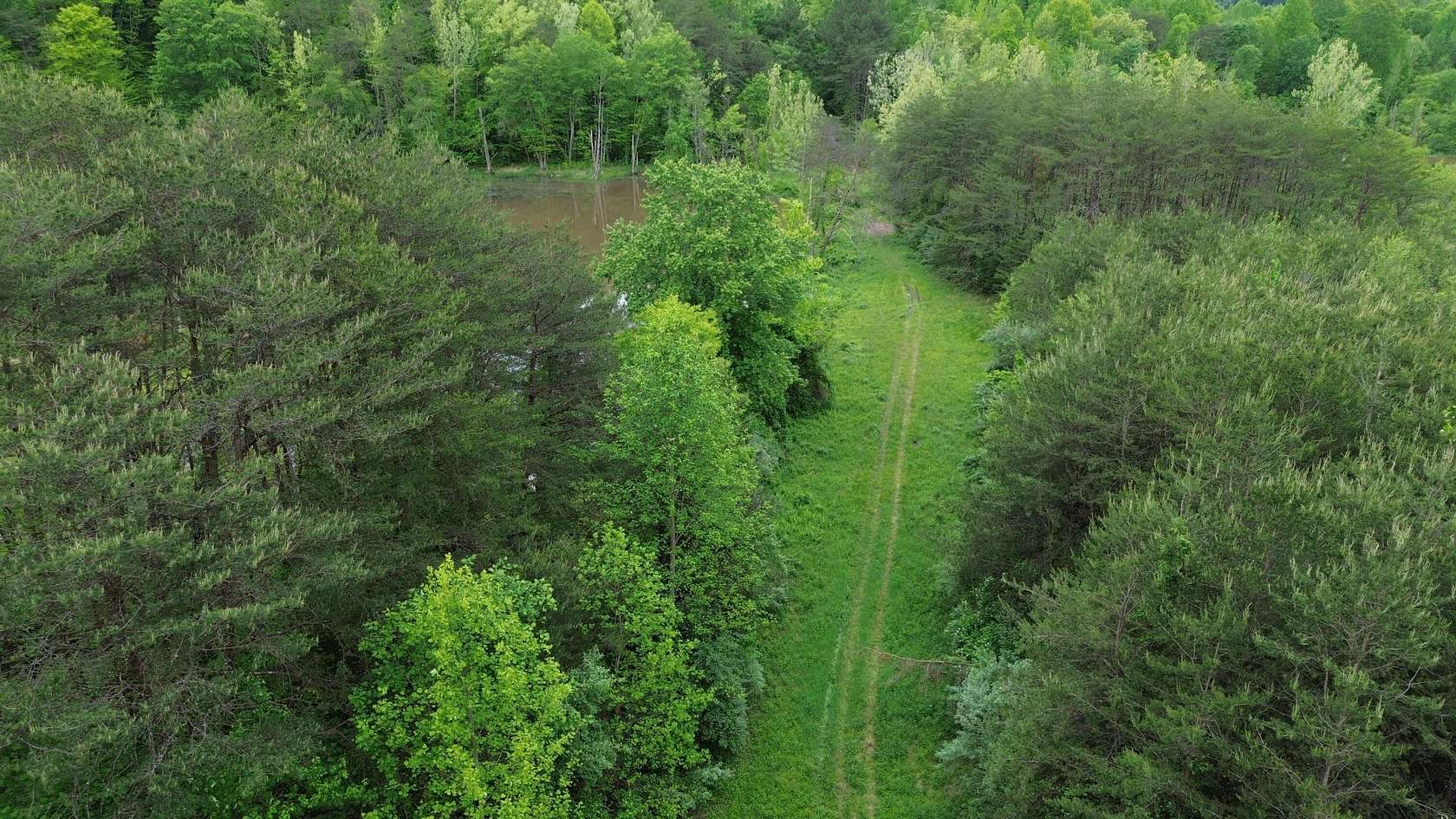 104 Acres of Recreational & Residential Land for Sale in Flat Lick, Kentucky
