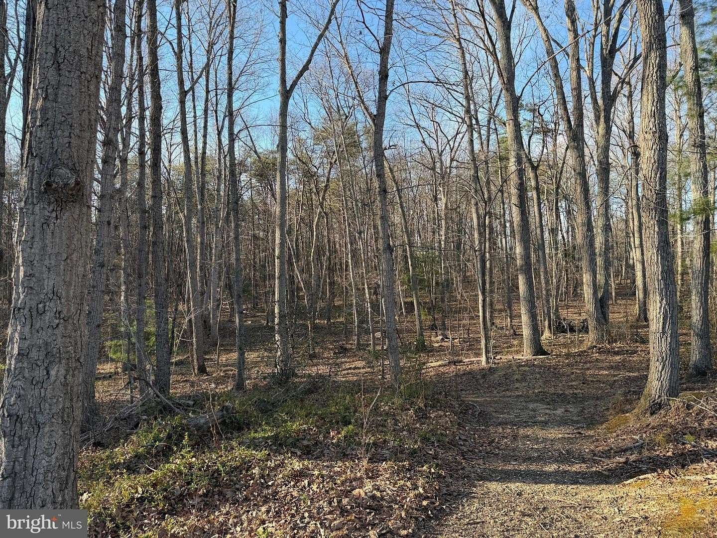 2 Acres of Residential Land for Sale in Culpeper, Virginia