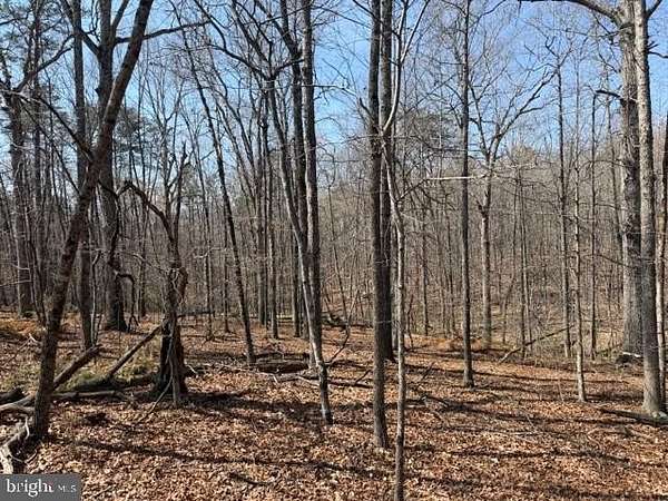 10.2 Acres of Land for Sale in Lignum, Virginia