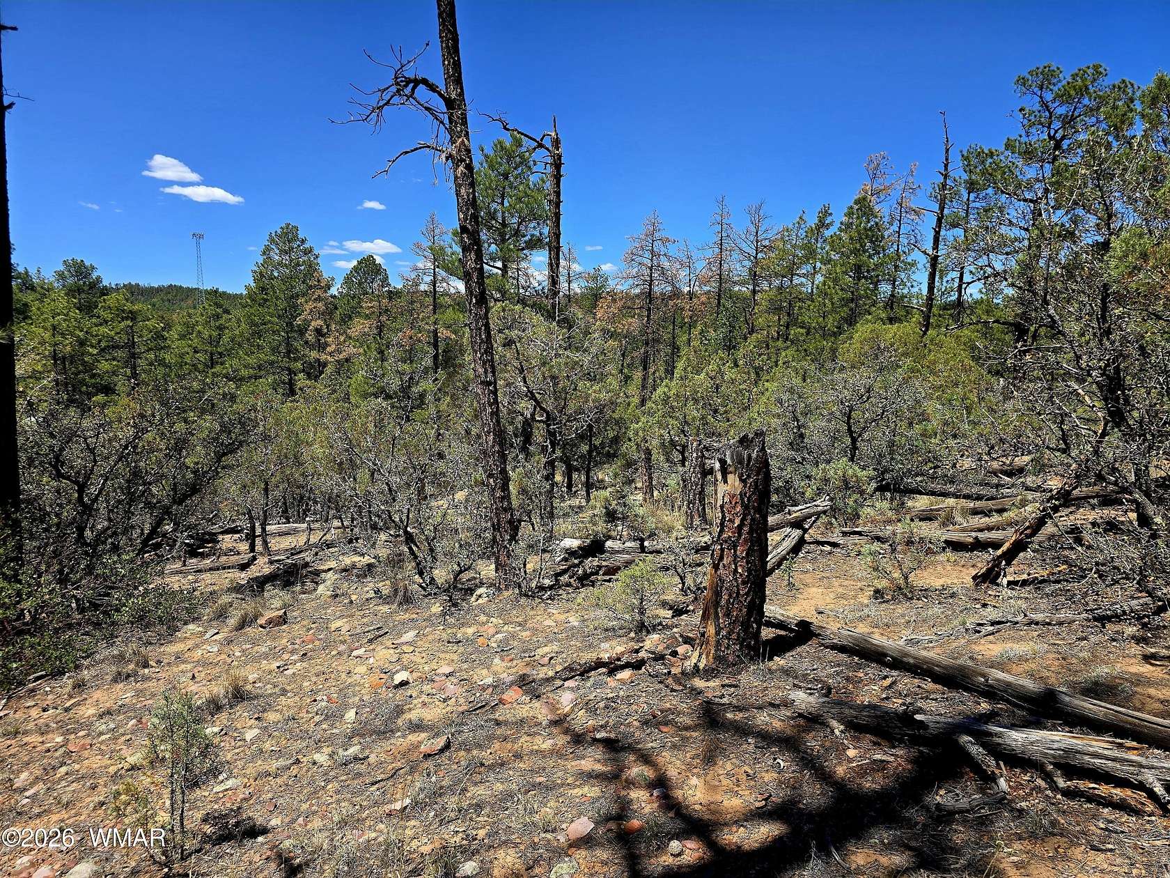 2 Acres of Residential Land for Sale in Show Low, Arizona
