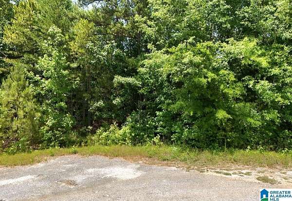 34 Acres of Recreational & Residential Land for Sale in Munford, Alabama