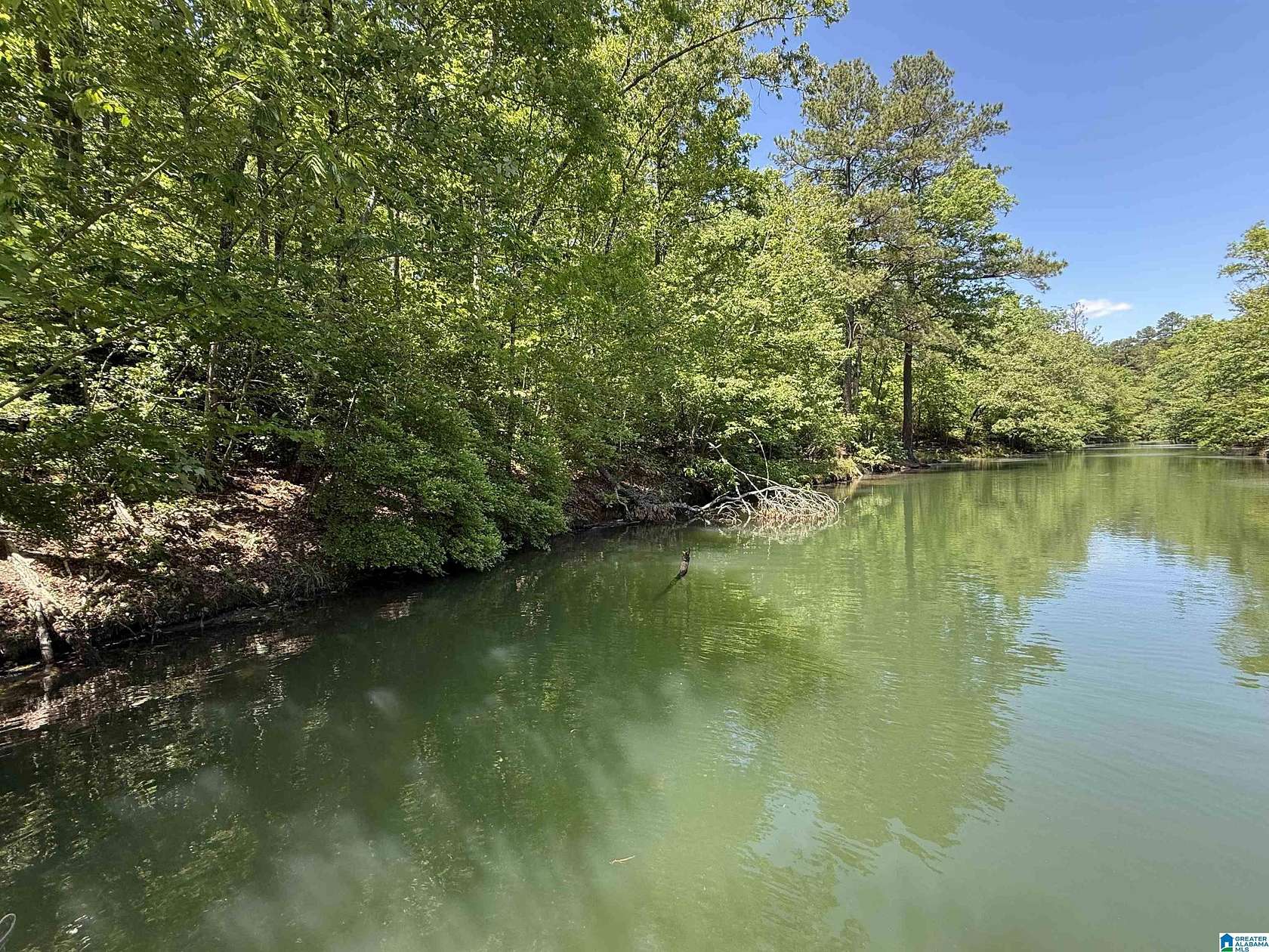 0.6 Acres of Land for Sale in Arley, Alabama