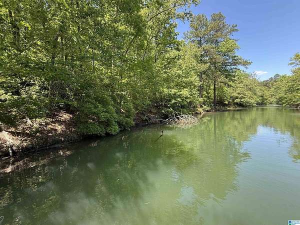 0.6 Acres of Land for Sale in Arley, Alabama