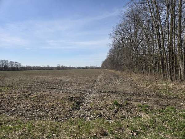 9.8 Acres of Residential Land for Sale in Columbus, Michigan