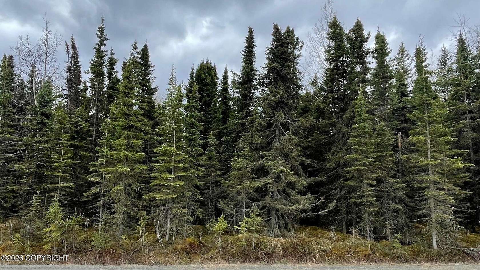 0.46 Acres of Residential Land for Sale in Soldotna, Alaska