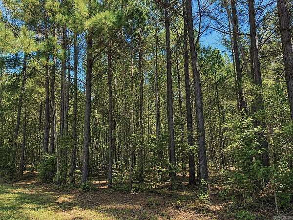 1.69 Acres of Residential Land for Sale in Sheridan, Arkansas