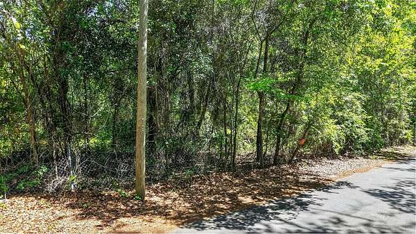 3 Acres of Residential Land for Sale in Gainesville, Florida